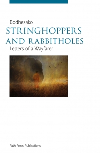 Stringhoppers and Rabbitholes - cover