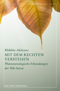 Mit dem rechten Verstehen - cover